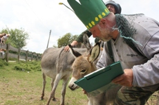 wir taufen dich auf den Namen Elli Palüm